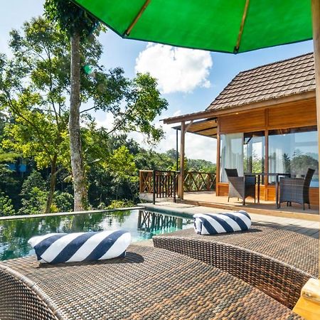 Anja Villas Ubud Tegallalang  Buitenkant foto