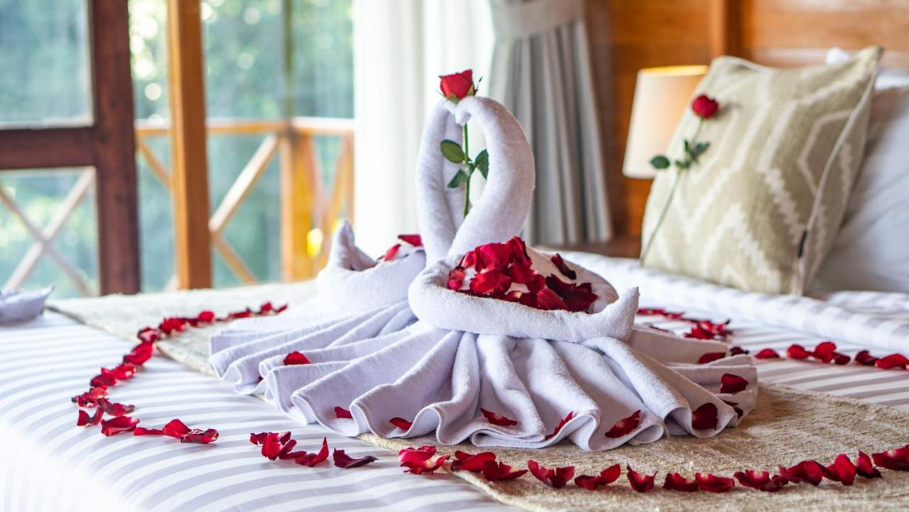 Anja Villas Ubud Tegallalang  Buitenkant foto