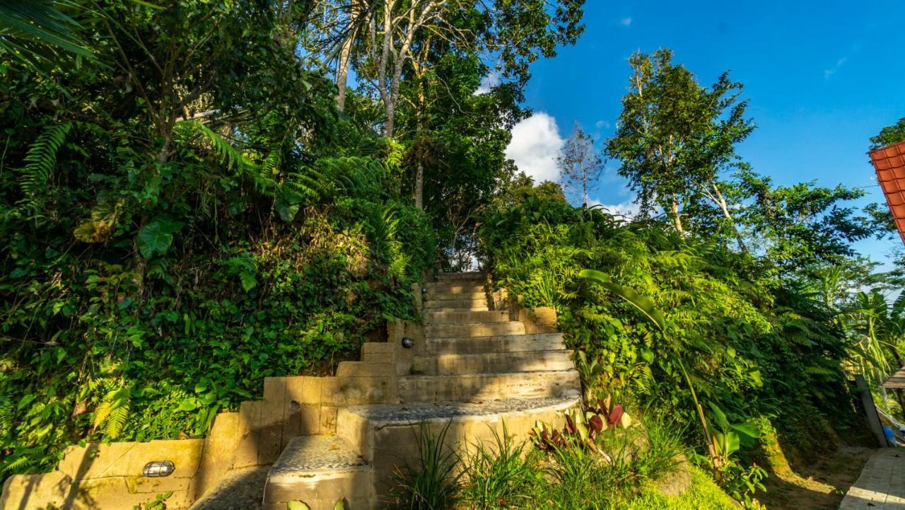 Anja Villas Ubud Tegallalang  Buitenkant foto